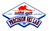 precision.gif (8316 byte)