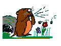 marmotte.gif (3293 byte)