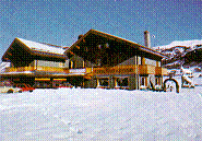 stein.gif (13467 byte)