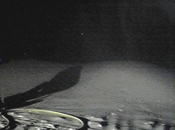 2_1.jpg (13277 byte)