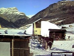 5_4.jpg (17686 byte)